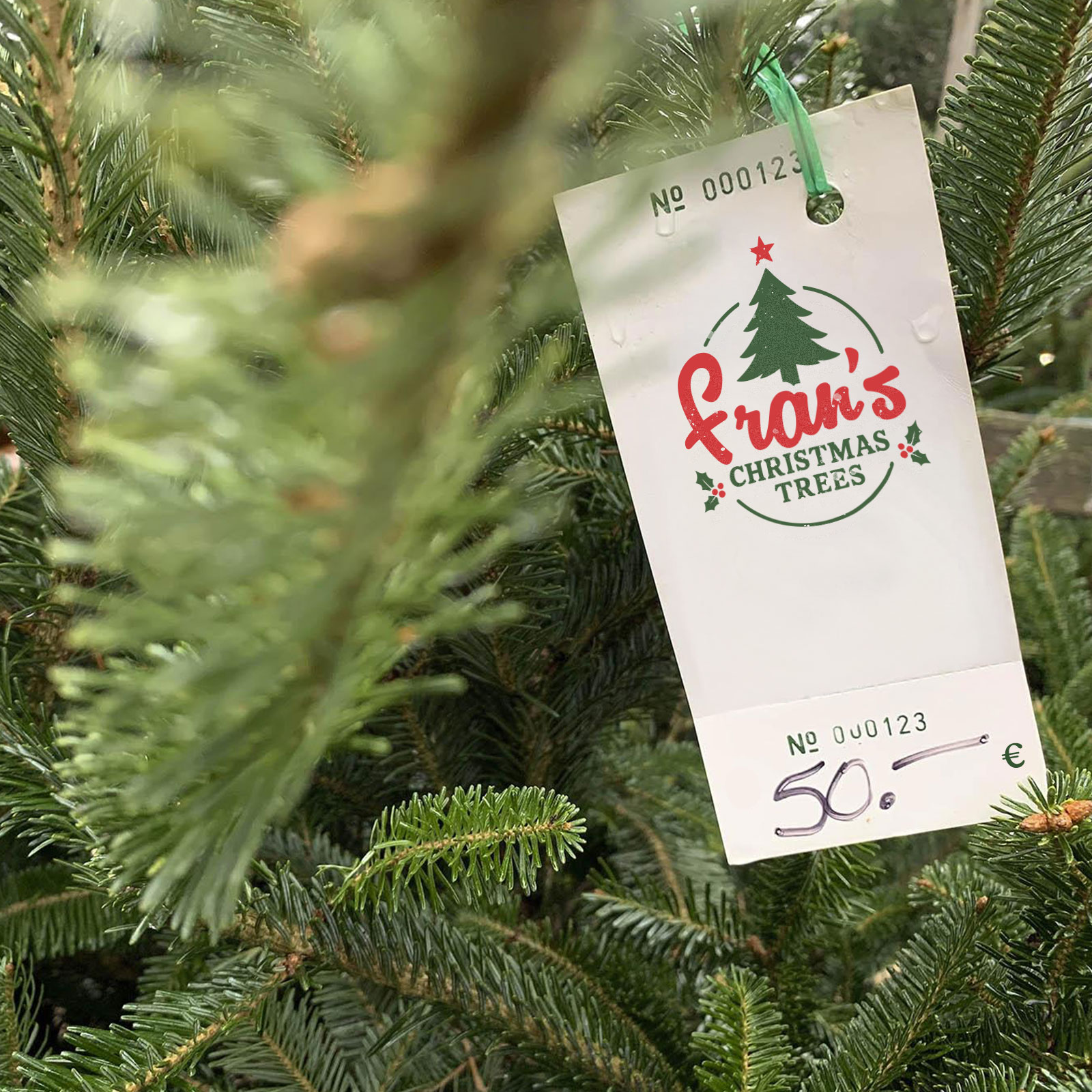 Vente de sapin de Noël chez Fran's Bordeaux